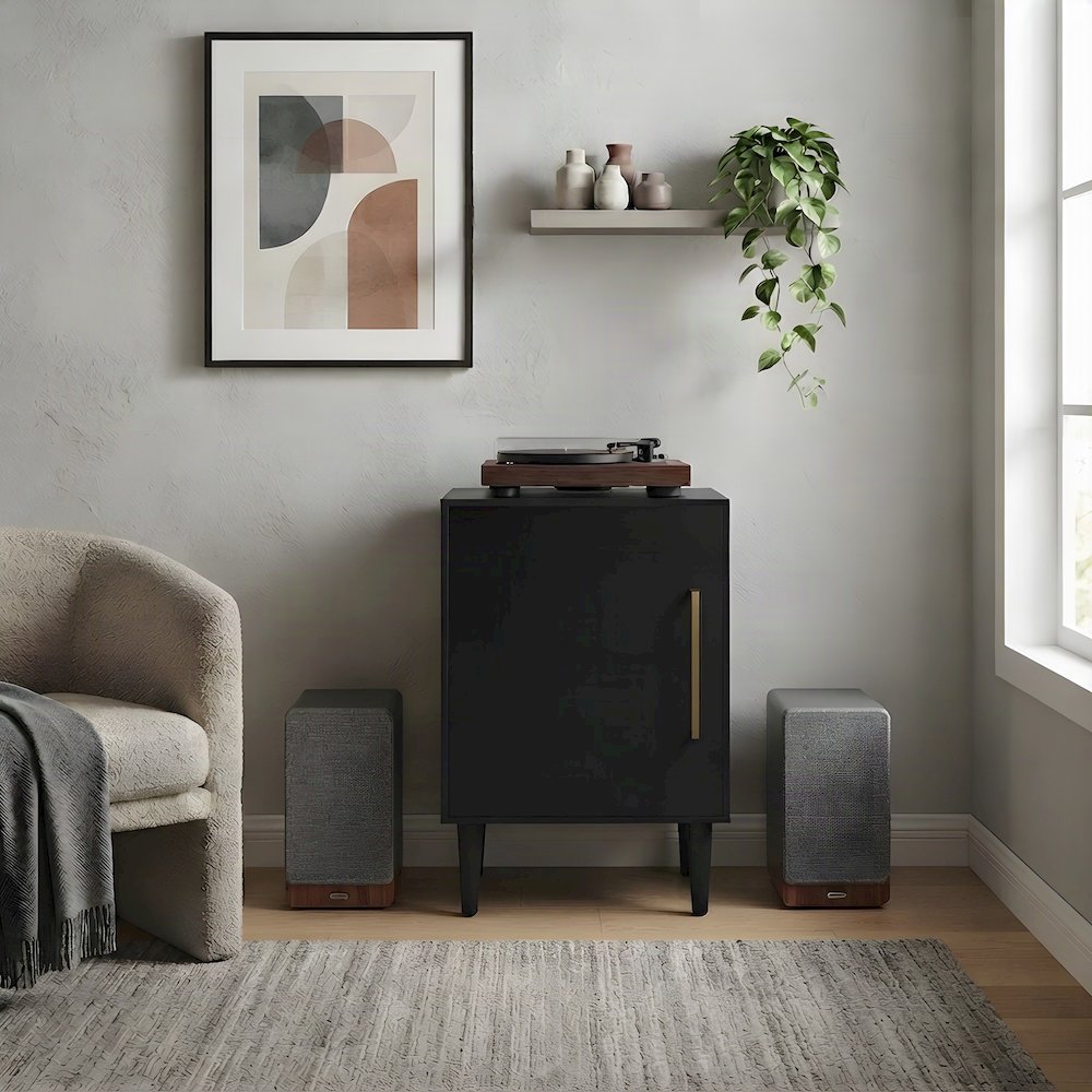 Mid-Century Record Player Stand with Wire Dividers, Matte Black