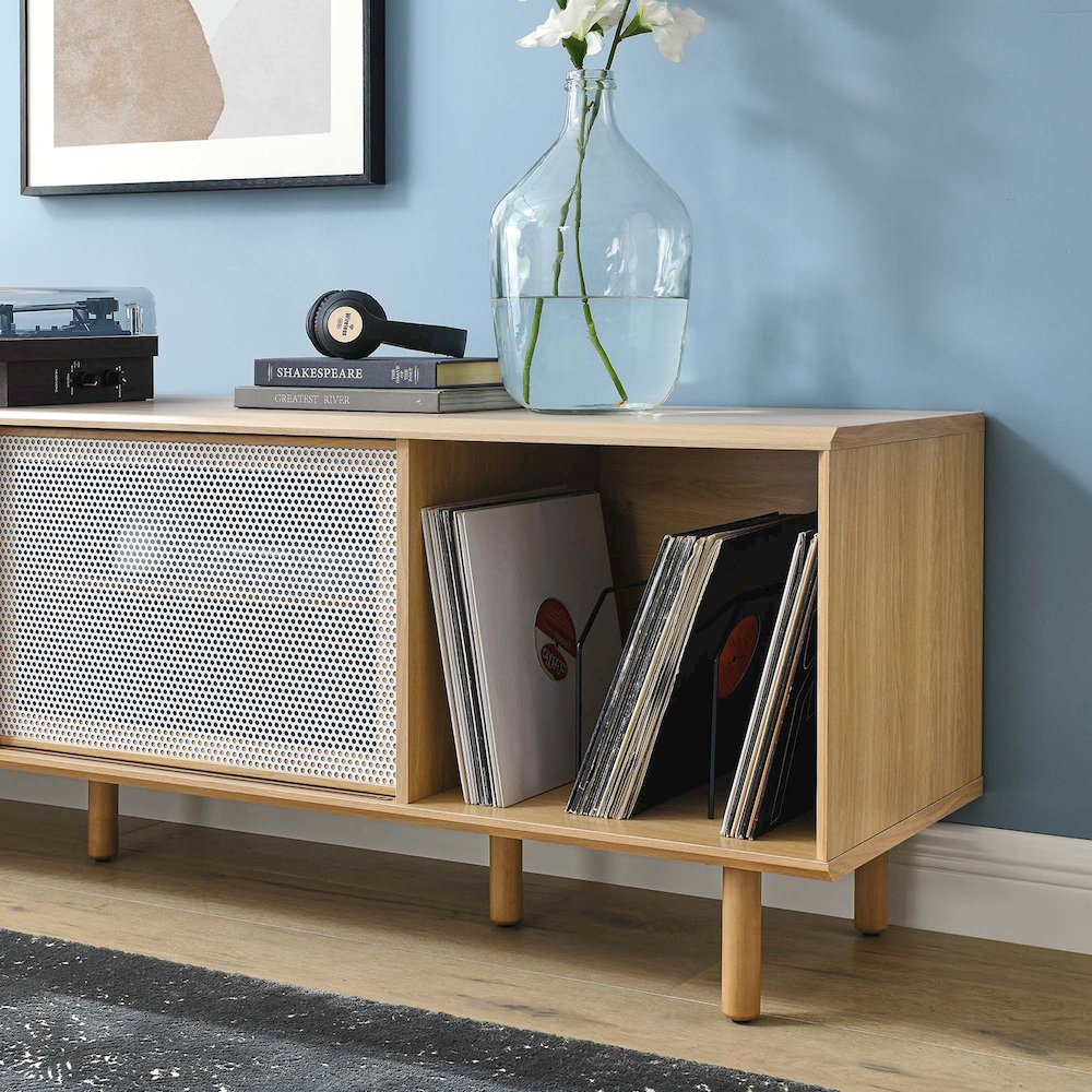 Kurtis 67" TV and Vinyl Record Stand
