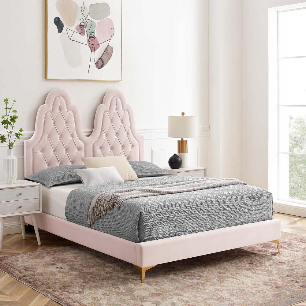 Alexandria Tufted Performance Velvet Twin Platform Bed - Pink MOD-6931-PNK