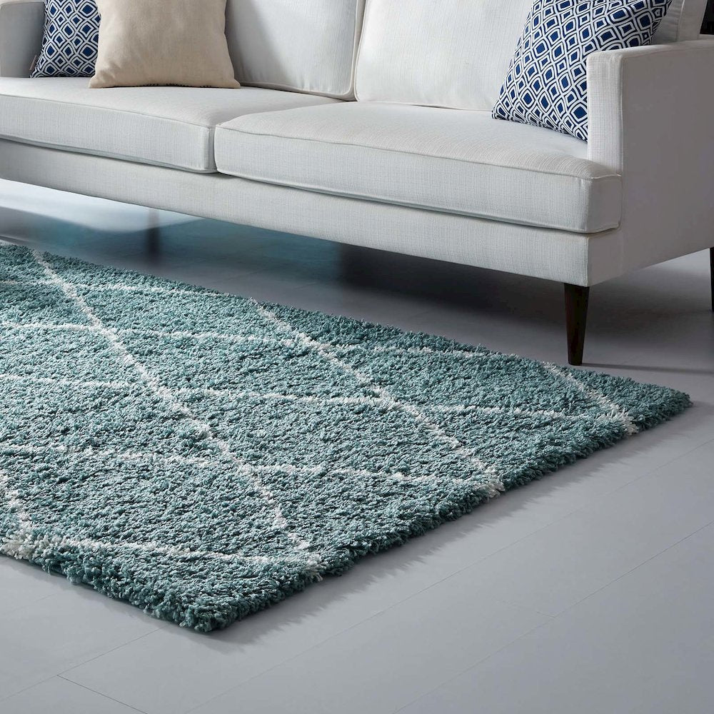 Toryn Diamond Lattice 8x10 Shag Area Rug