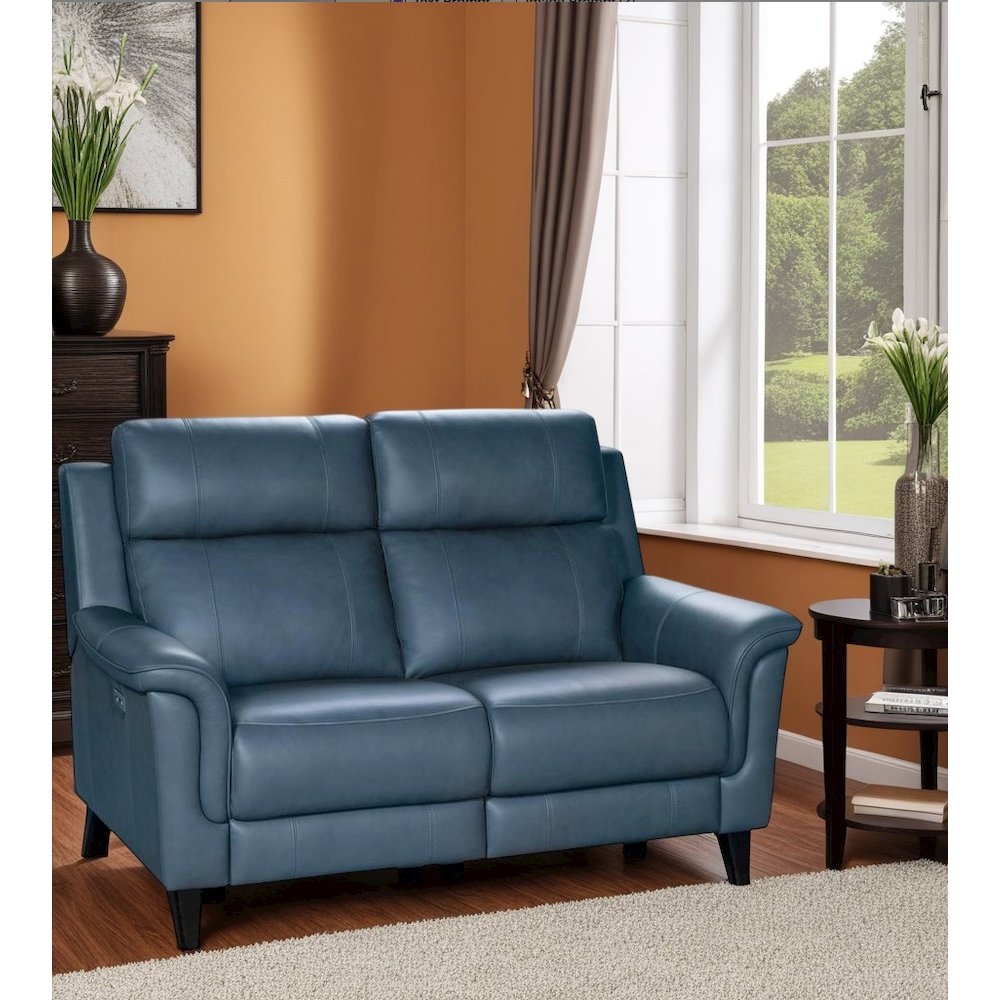 Gray Leather Power Reclining Loveseat with Hardwood Plywood Frame