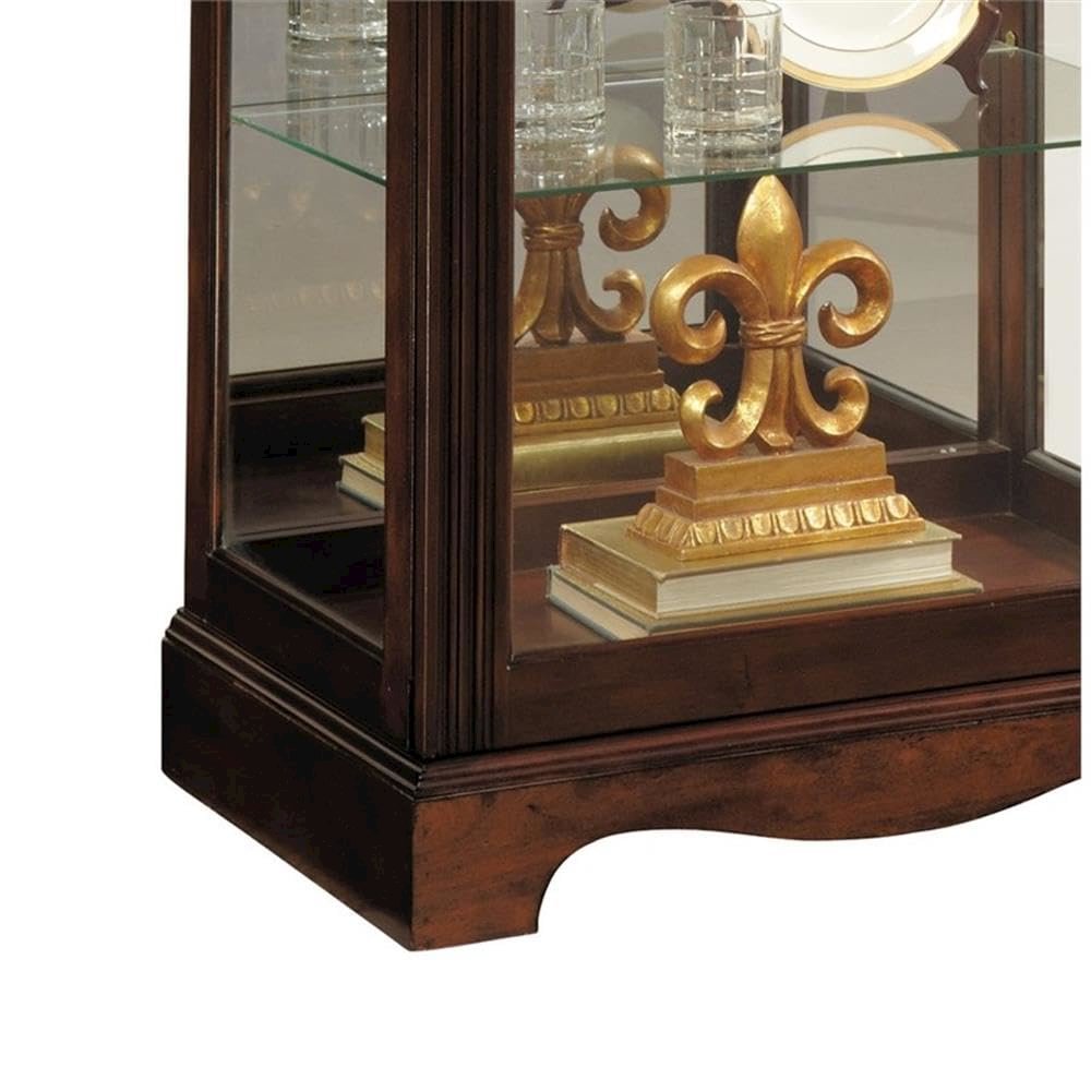 Carved 5 Shelf Mirrored Curio Cabinet in Cherry Brown