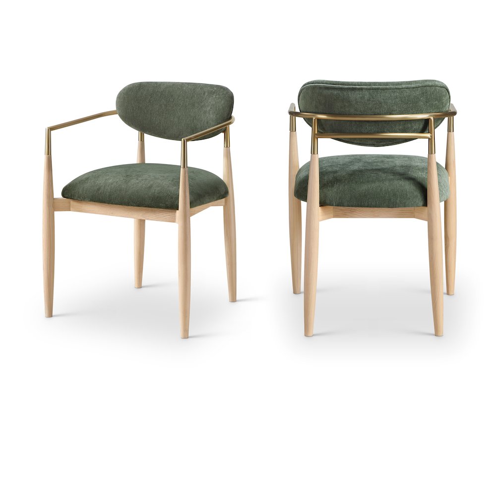 Riccio Olive Performance Fabric Upholstered Dining Arm Chair, Set of 2