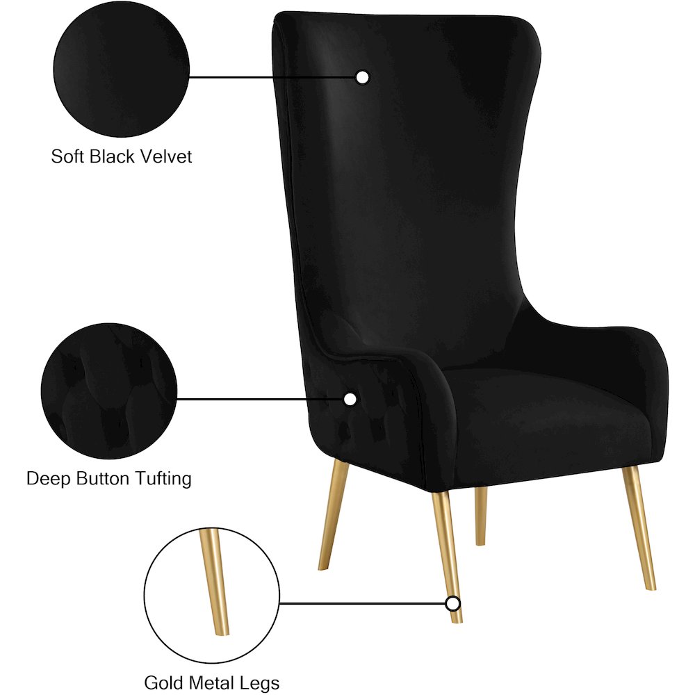 Alexander Black Velvet Accent Chair