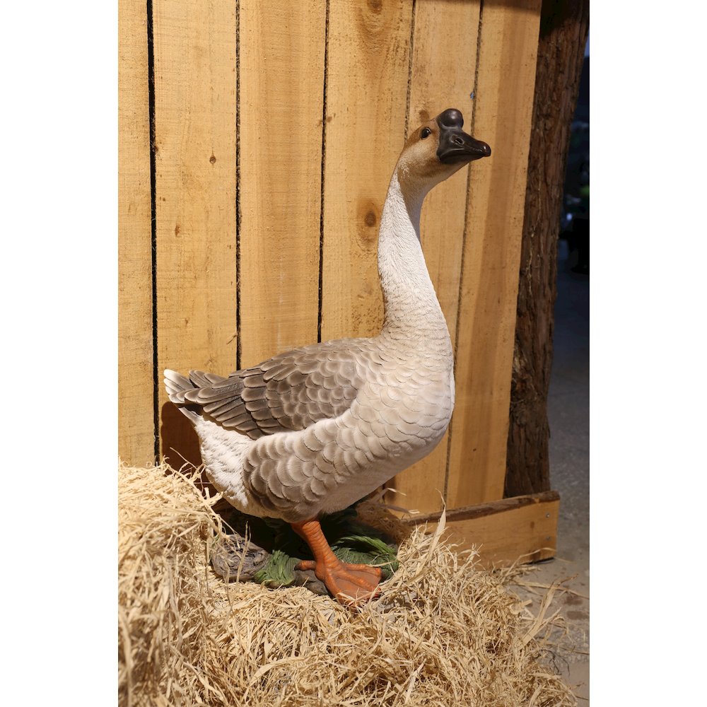 Goose