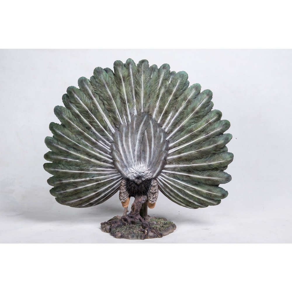 Peacock W/Feathers Out Statue