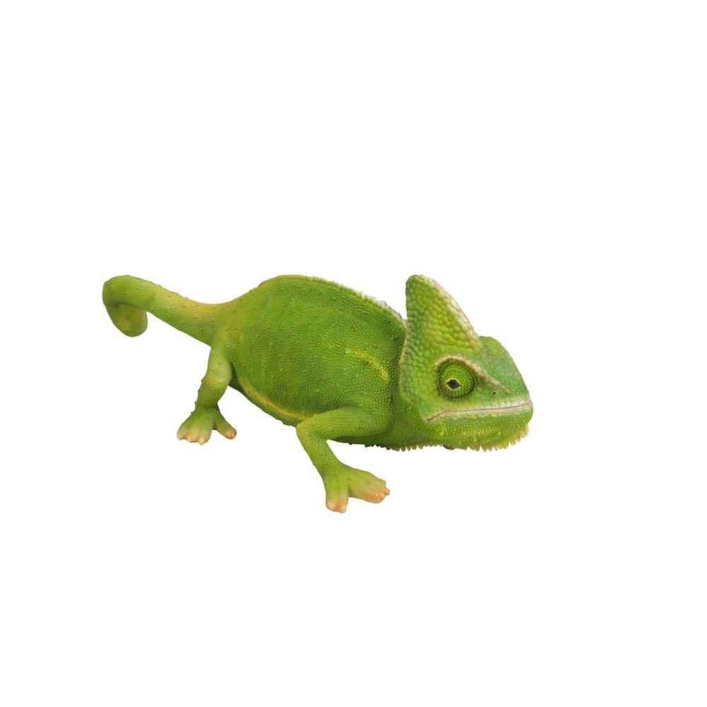 Cameleon