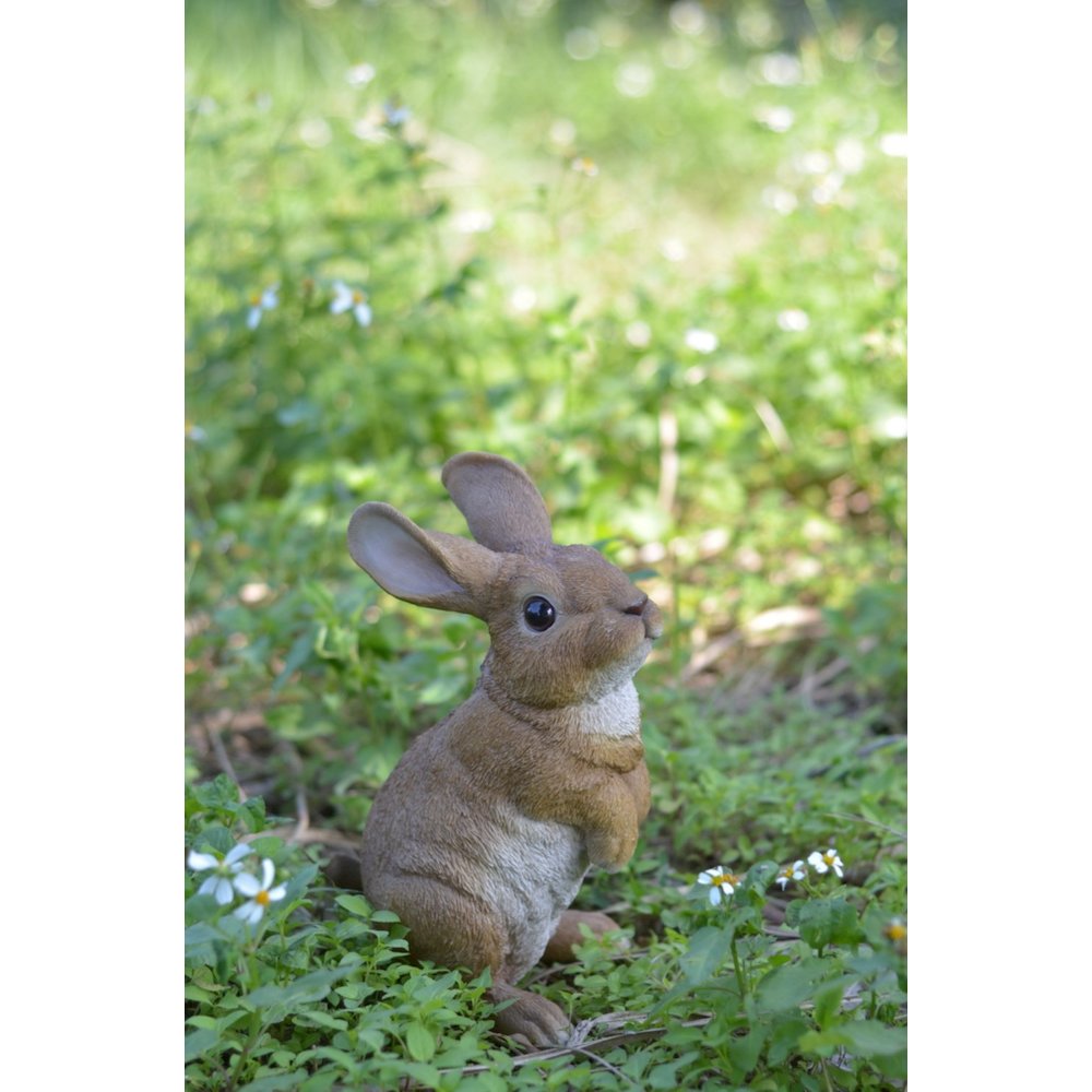 Standing Rabbit