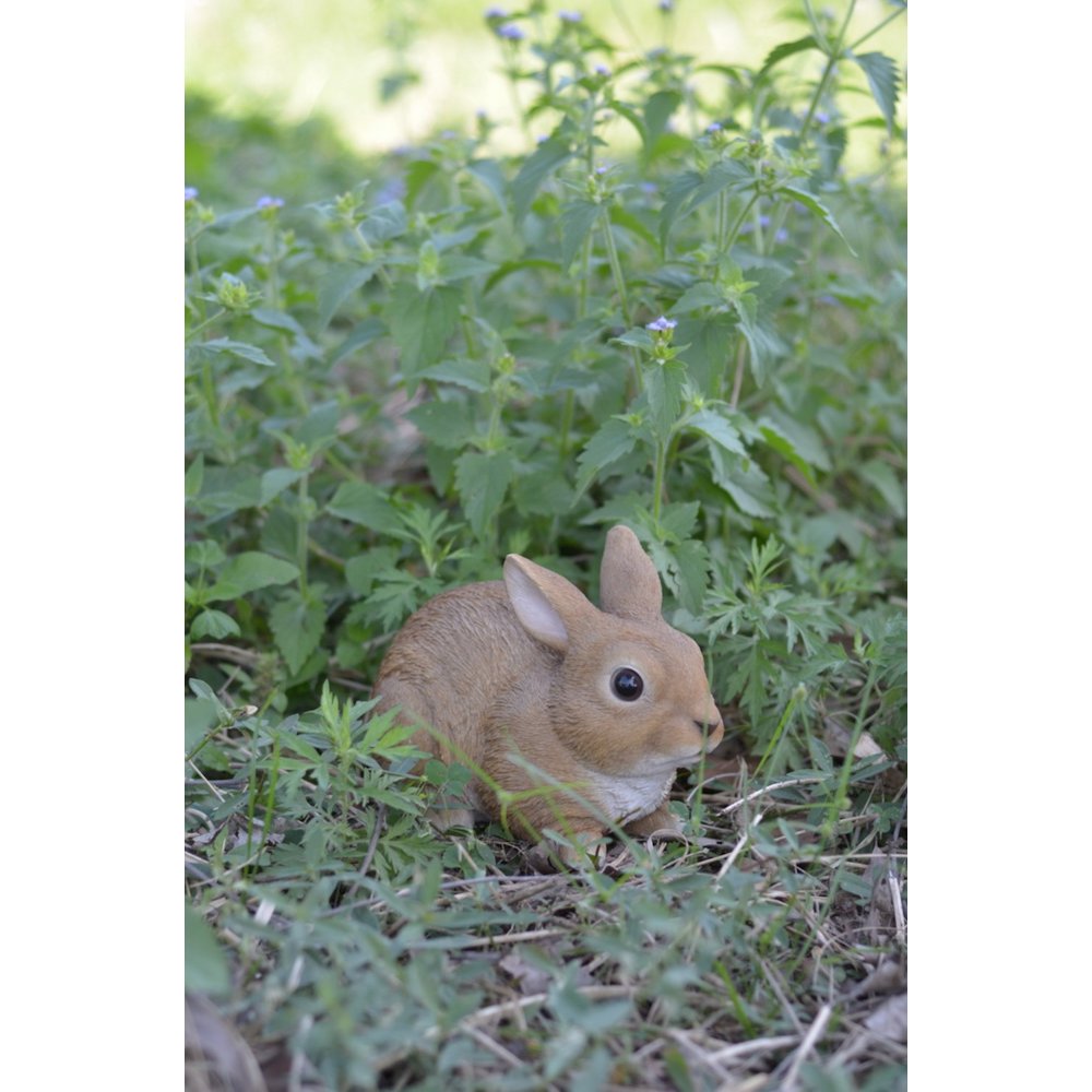 Sitting Rabbit