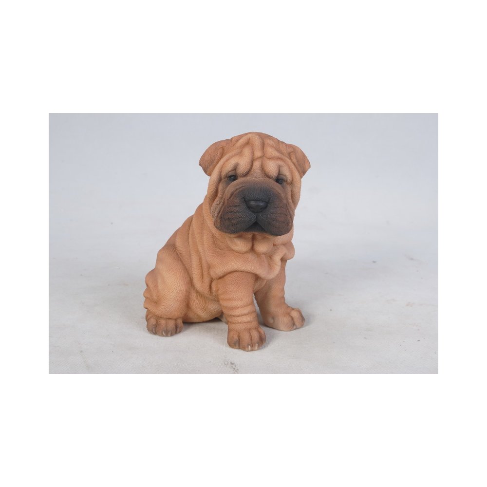 Shar Pei Puppy