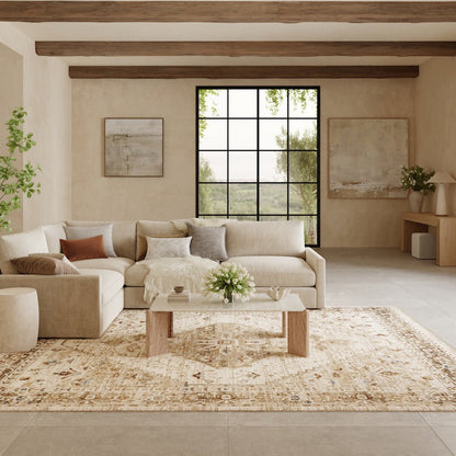 Nourison Home Pardis Area Rug