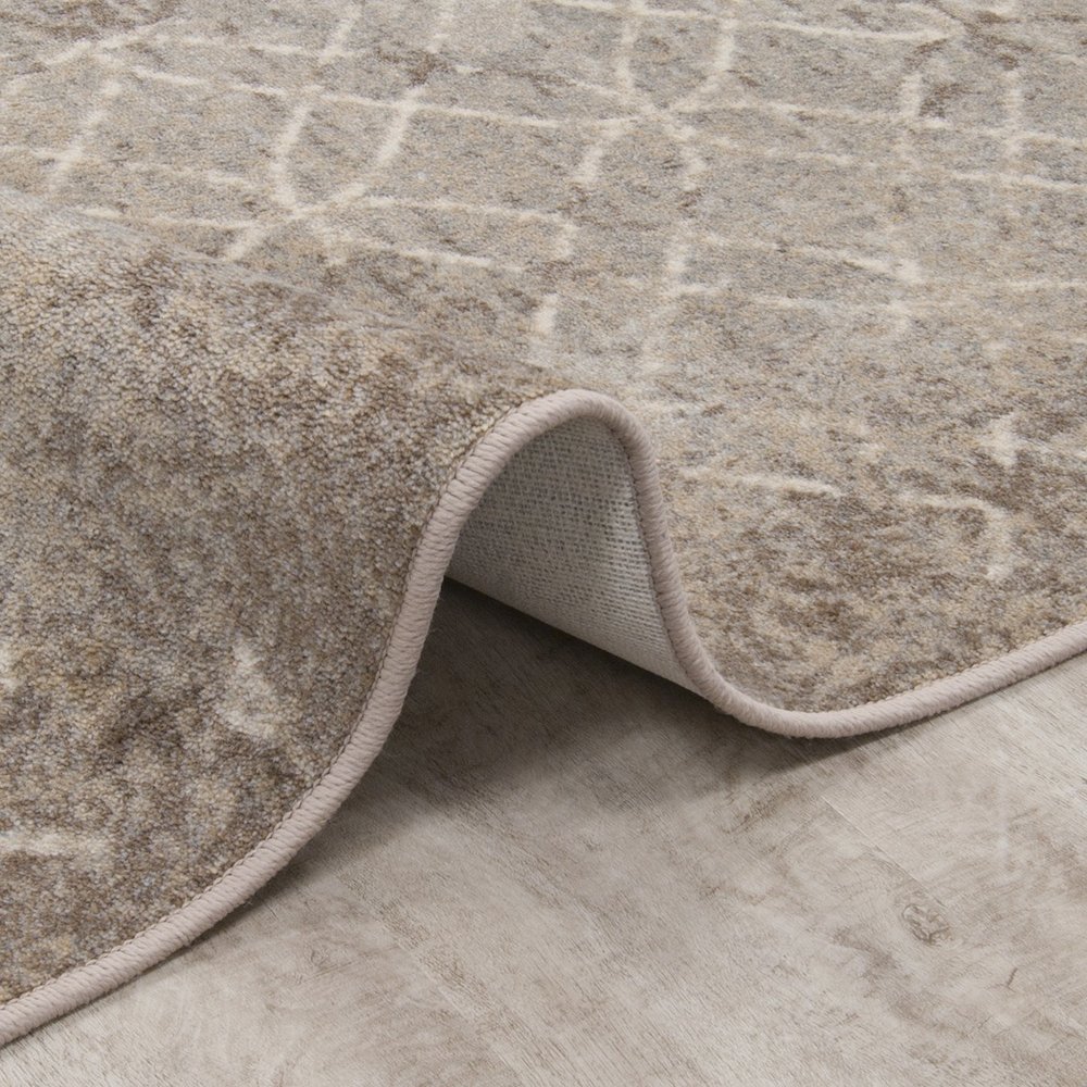 First Take Opposites Attract 10'9" x 13'2" Area Rug in Color Hazelwood