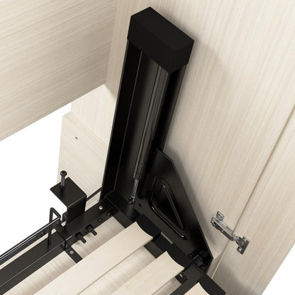 Lumina Queen Murphy Bed with Storage Cabinet (91W)