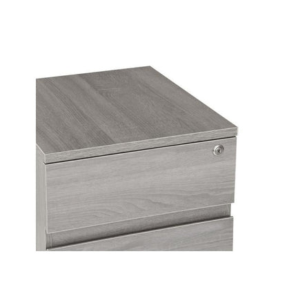 Rolling two Drawer Vertical Filing Cabinet with Lock and Storage, Grey