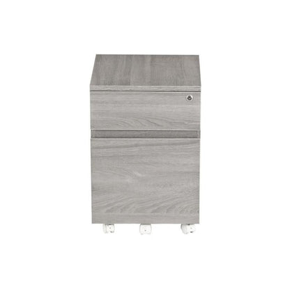 Rolling two Drawer Vertical Filing Cabinet with Lock and Storage, Grey