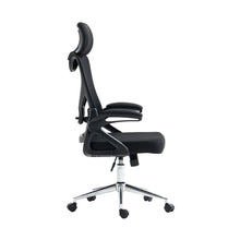 Office Chair with Lumbar Support & Adjustable Headrest