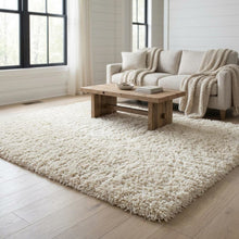 Ivory and Beige Area Rug, Power Loomed Large Rectangle Design for Living Room