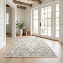 Ivory and Silver Area Rug with Power Loomed Polypropylene Pile for Accent Spaces