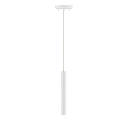 Z-Lite 1 Light Pendant