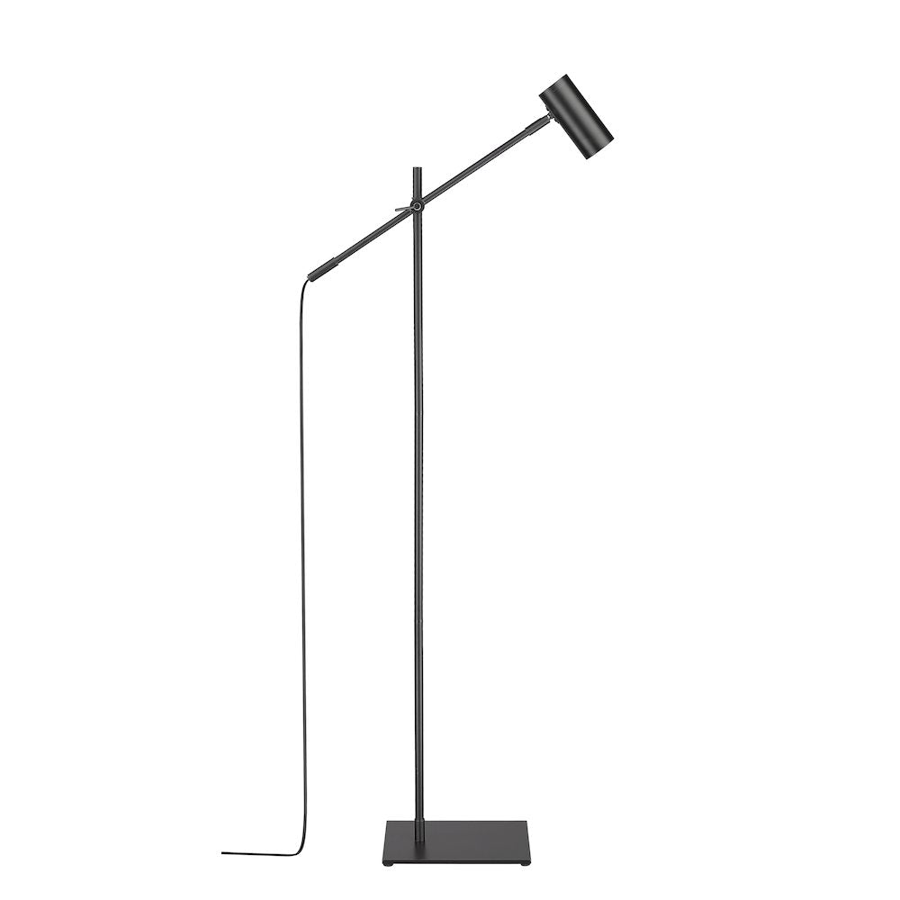 Z-Lite 1 Light Floor Lamp