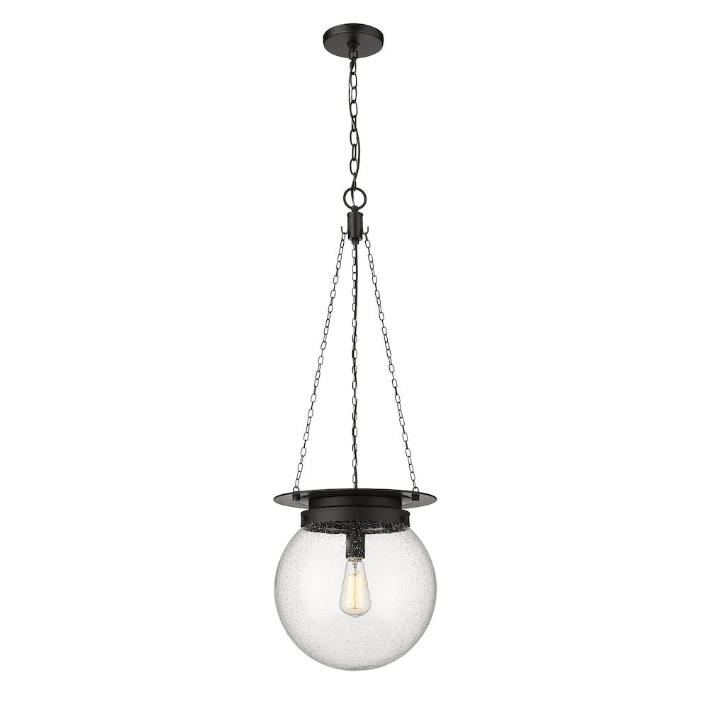 Z-Lite 1 Light Pendant