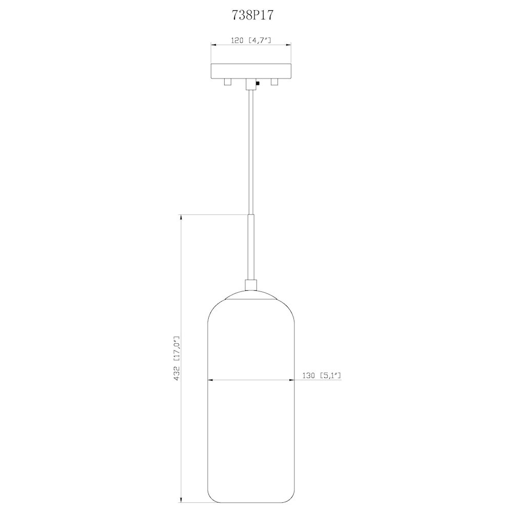 Z-Lite 1 Light Pendant