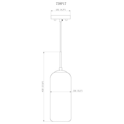 Z-Lite 1 Light Pendant