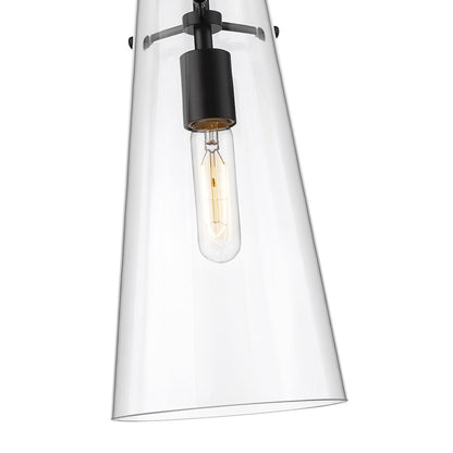 Z-Lite 1 Light Pendant
