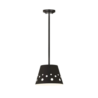Z-Lite 1 Light Pendant