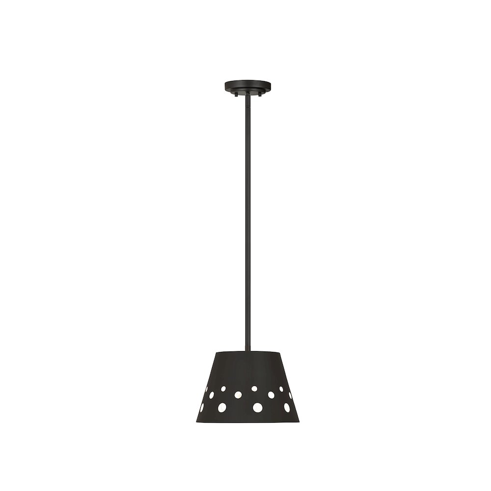 Z-Lite 1 Light Pendant