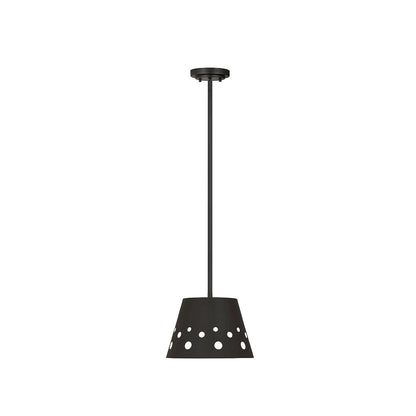 Z-Lite 1 Light Pendant