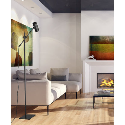 Z-Lite 1 Light Floor Lamp