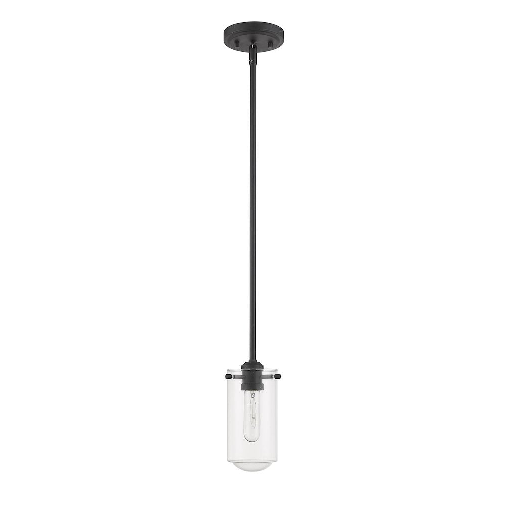 Z-Lite 1 Light Pendant