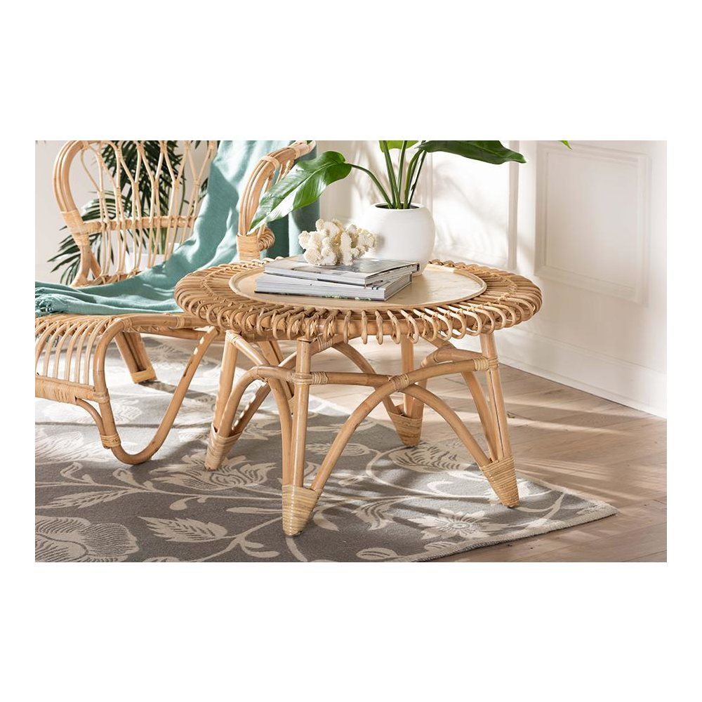 bali & pari Elani Modern Bohemian Natural Rattan Coffee Table