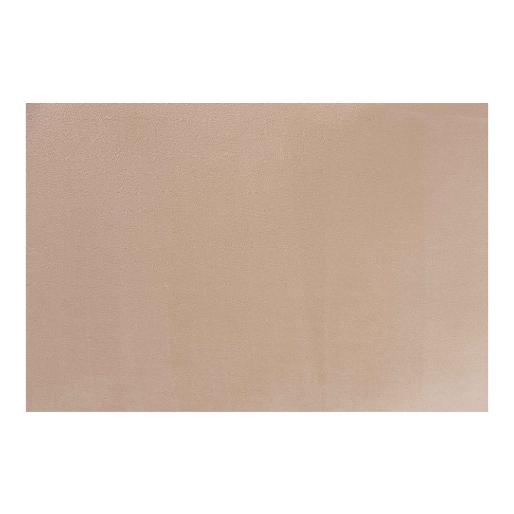 Adanna Glam and Luxe Champagne Beige Velvet Fabric Sofa
