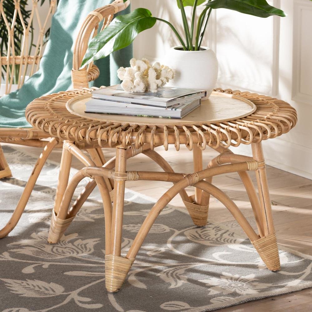 bali & pari Elani Modern Bohemian Natural Rattan Coffee Table