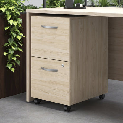 Studio C 2 Drawer Mobile File Cabinet