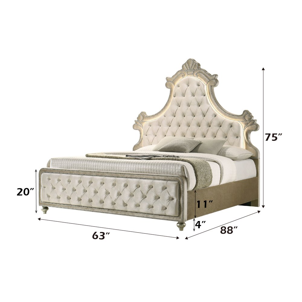 Lucienne Queen Bed w/LED Beige Velvet