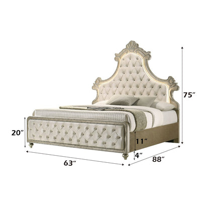 Lucienne Queen Bed w/LED Beige Velvet