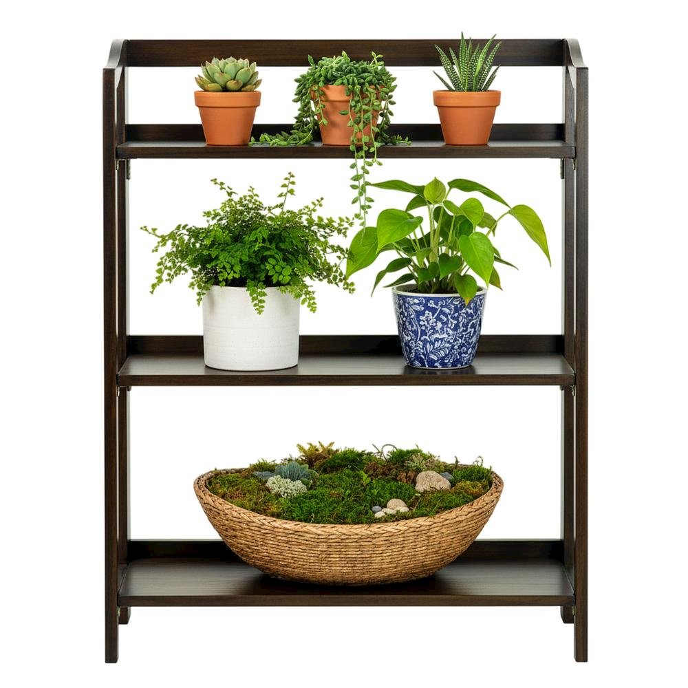 Wooden bookcase with open shelving for storage and display