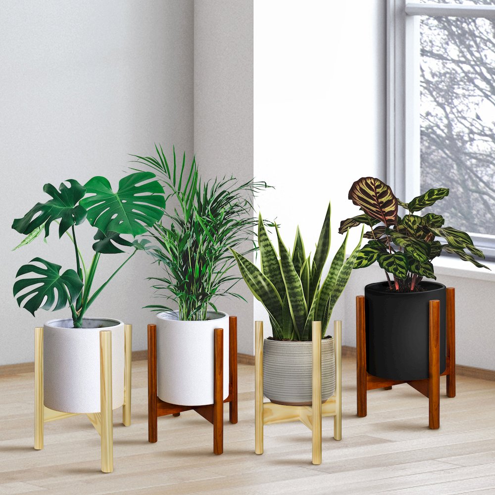 Mid-Century Modern Wood Plant Display Stand, Fit Up to 12"