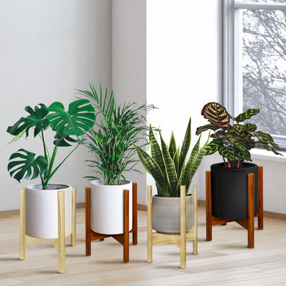 Mid-Century Modern Wood Plant Display Stand, Fit Up to 12"