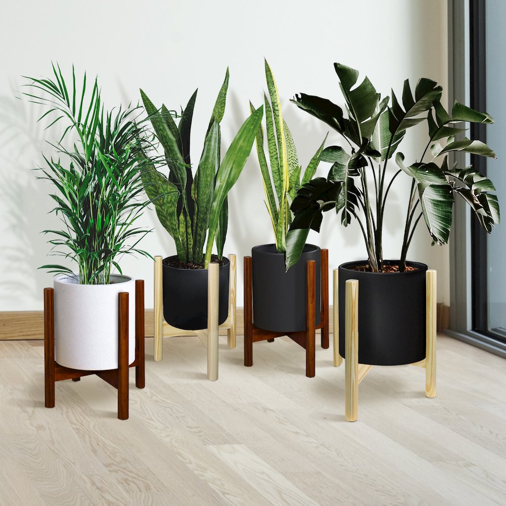 Mid-Century Modern Wood Plant Display Stand, Fit Up to 12"