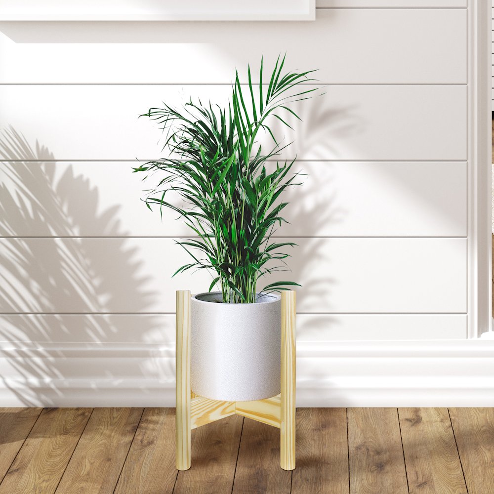 Mid-Century Modern Wood Plant Display Stand, Fit Up to 12"