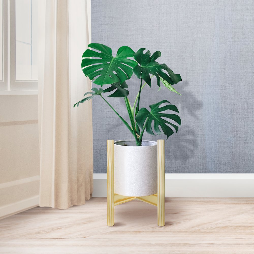 Mid-Century Modern Wood Plant Display Stand, Fit Up to 12"