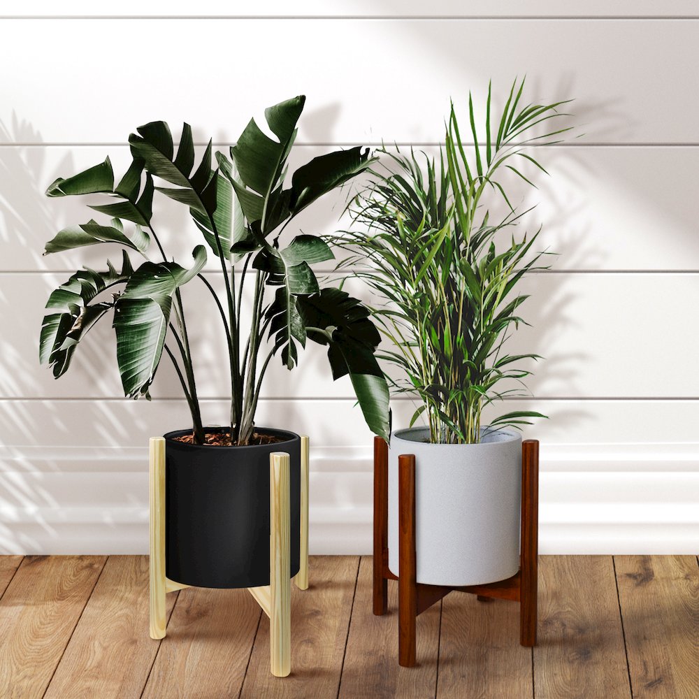 Mid-Century Modern Wood Plant Display Stand, Fit Up to 12"