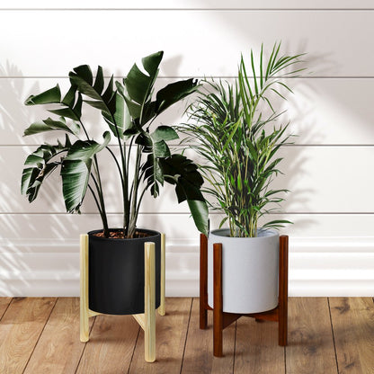 Mid-Century Modern Wood Plant Display Stand, Fit Up to 12"