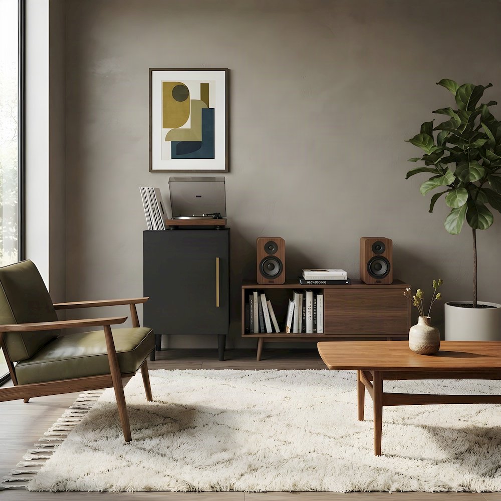Mid-Century Record Player Stand with Wire Dividers, Matte Black
