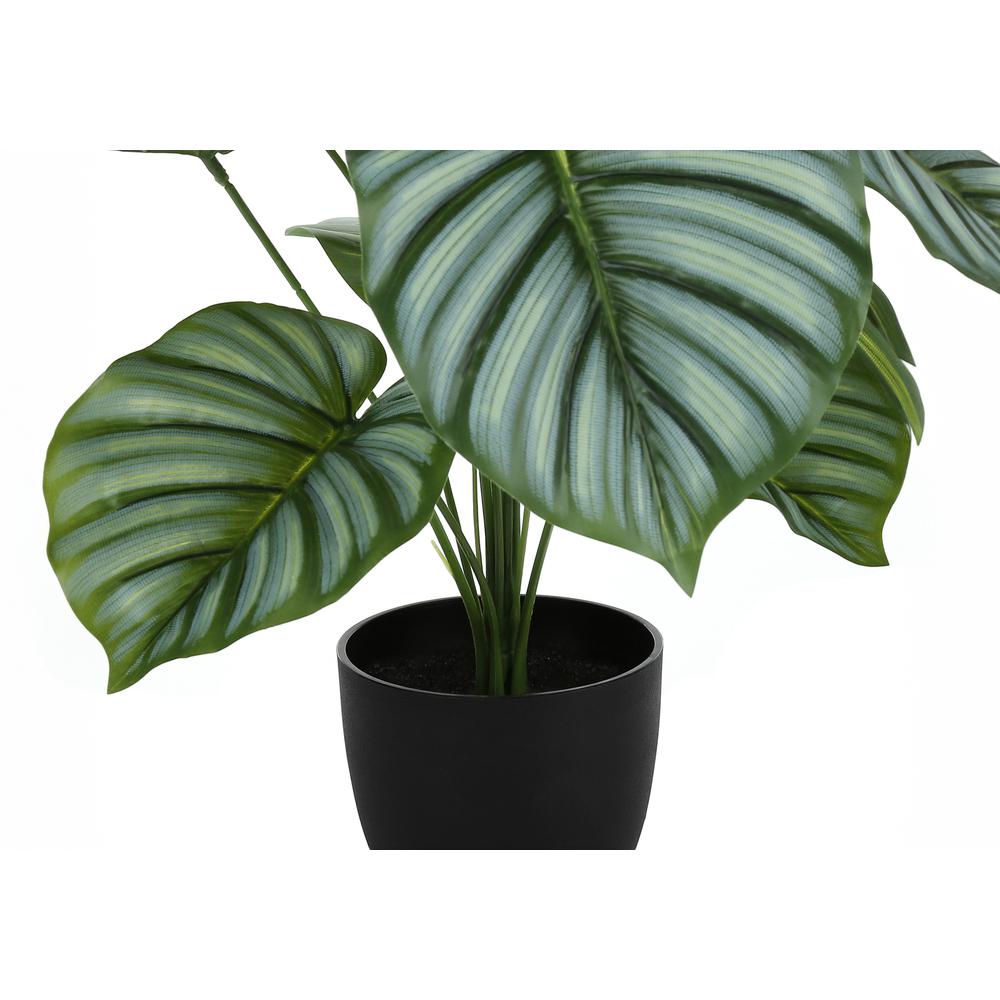 Artificial Plant, 24 Tall, Calathea, Indoor, Faux, Fake, Table, Greenery