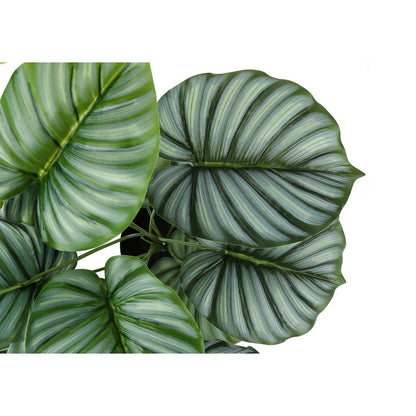 Artificial Plant, 24 Tall, Calathea, Indoor, Faux, Fake, Table, Greenery